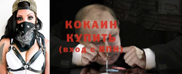 ешки Алексин